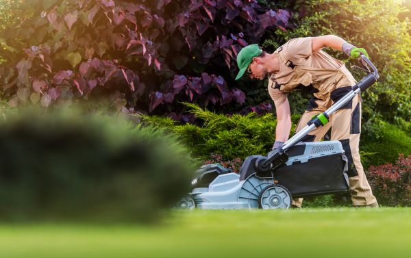 Cost of Lawn Care And Maintenance in Roanoke