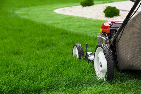 Cost of Lawn Maintenance in Roanoke