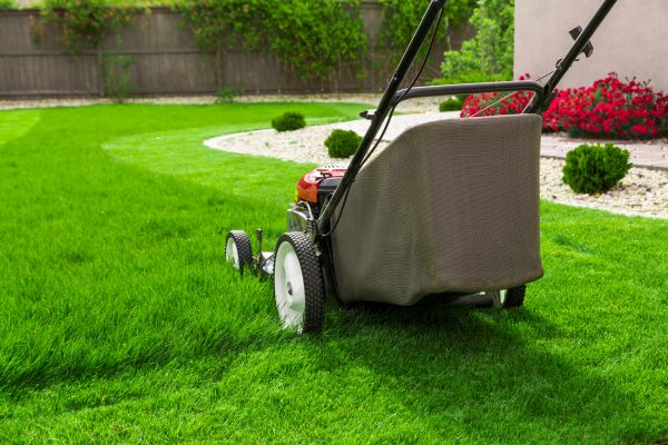 Cost of Lawn Mowing in Roanoke