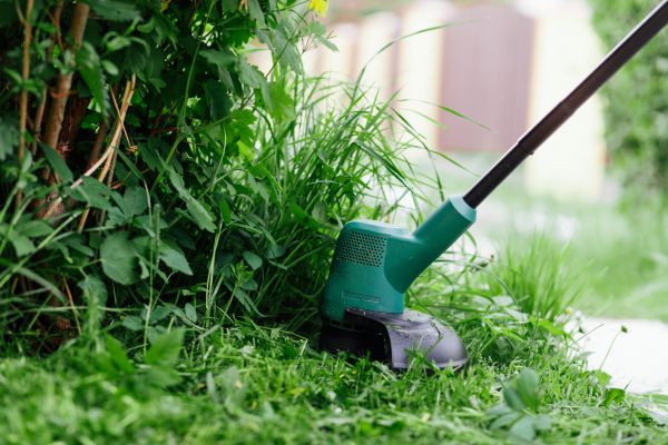 Cost of Weed Whacking in Roanoke