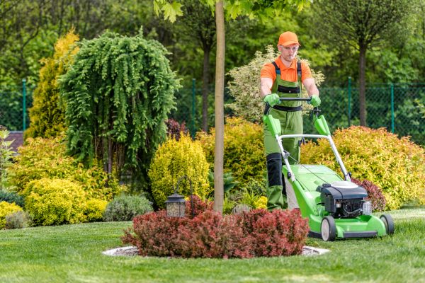 Cost of Yard Service in Roanoke