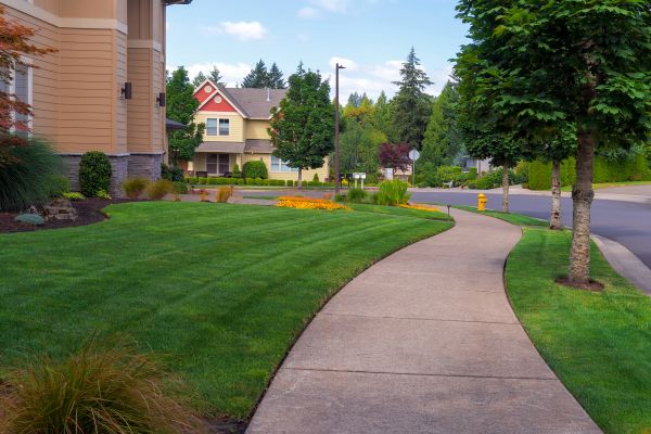 Cost of Home Lawn Maintenance in Roanoke