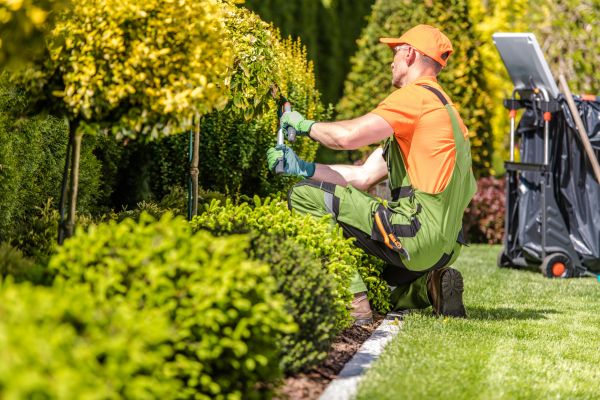 Ground Maintenance