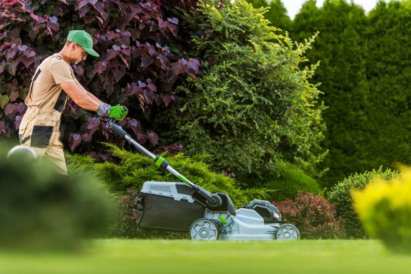 Cost of Lawn Management in Roanoke