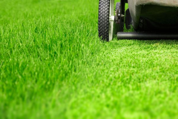 Cost of Weekly Lawn Care in Roanoke