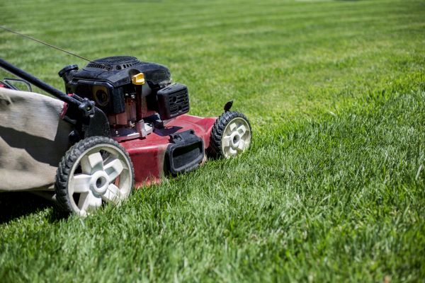 Cost of Routine Lawn Care in Roanoke