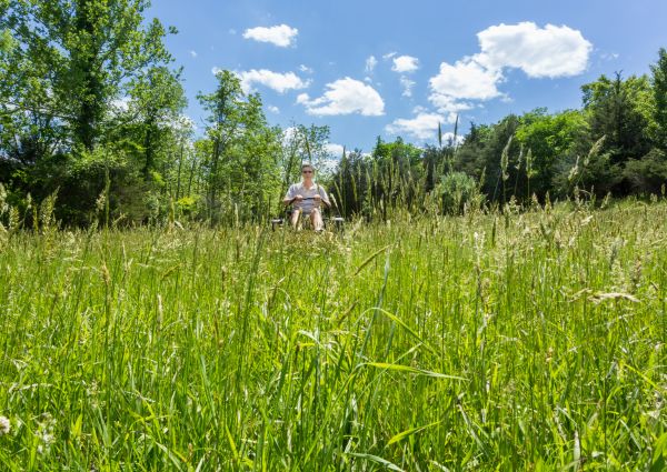 Cost of Long Grass Mowing in Roanoke