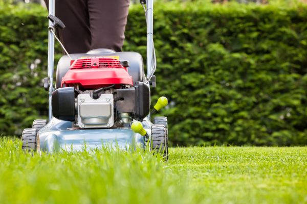 Cost of Grass Trimming Service in Roanoke