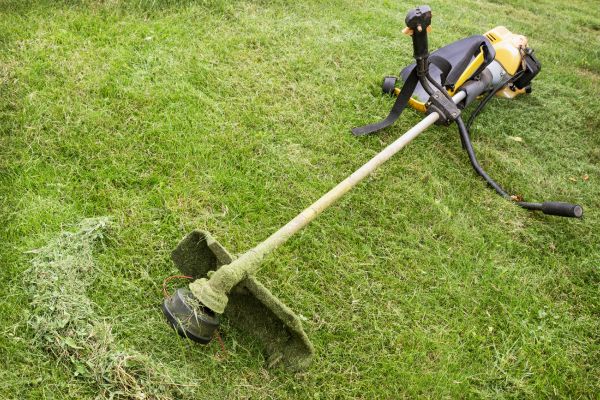 Cost of Hillside Weed Whacking in Roanoke