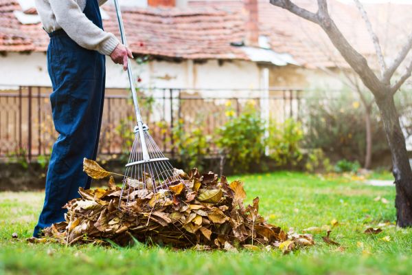 Cost of Routine Lawn Maintenance in Roanoke