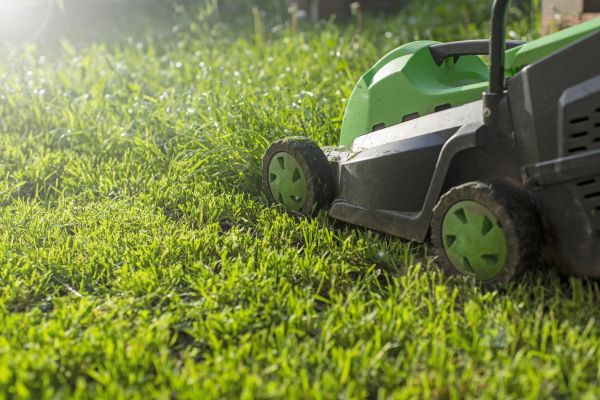 Cost of Lot Mowing in Roanoke