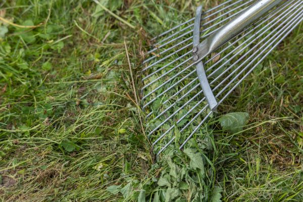Cost of Thatch Raking in Roanoke