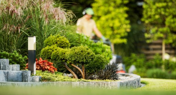 Cost of Residential Yard Maintenance in Roanoke