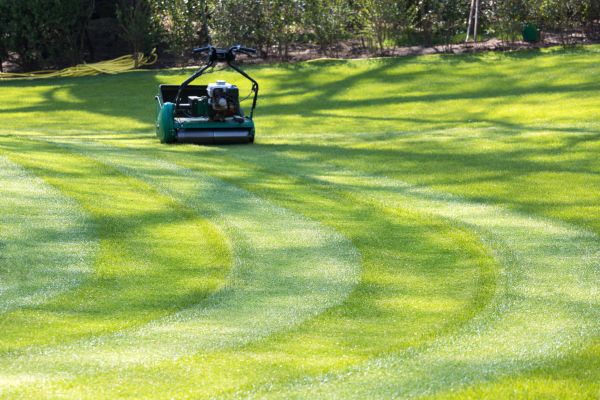 Business Lawn Mowing in Roanoke