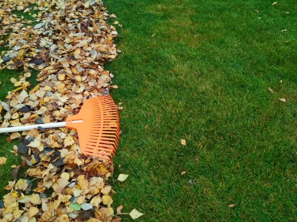 Cost of Fall Lawn Care in Roanoke