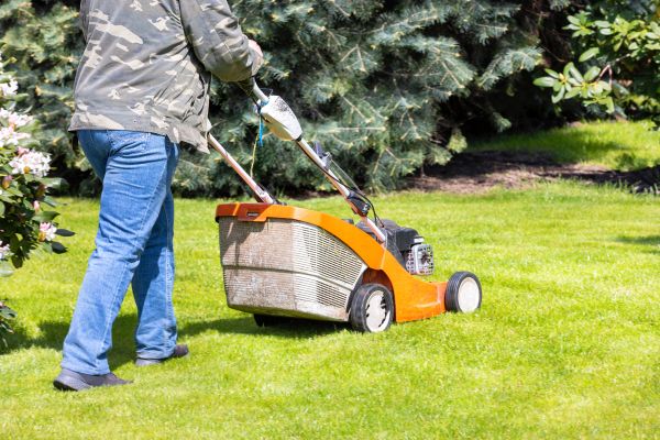 Cost of Springtime Lawn Care in Roanoke