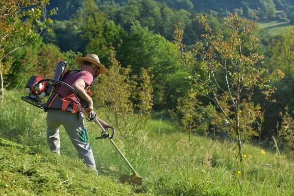 Cost of Slope Mowing in Roanoke