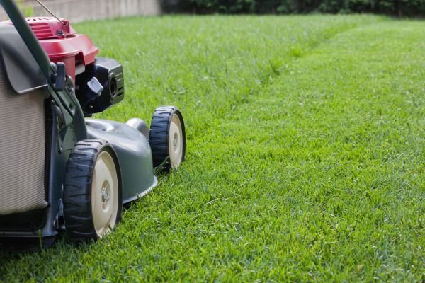 Cost of Spring Lawn Maintenance in Roanoke