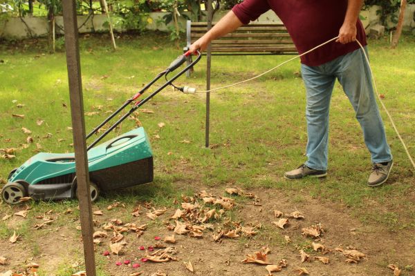 Cost of Leaves Mowing in Roanoke