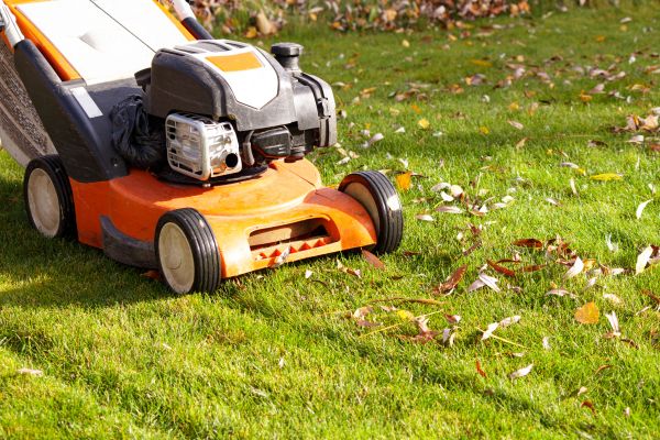 Cost of Fall Mowing in Roanoke