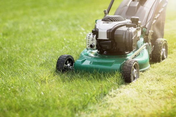 Cost of Spring Grass Trimming in Roanoke