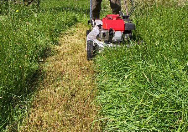 Cost of Leaf Mowing in Roanoke