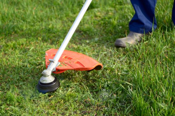 Cost of Lawn Weed Whacking in Roanoke