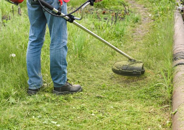 Cost of Tall Grass Trimming in Roanoke