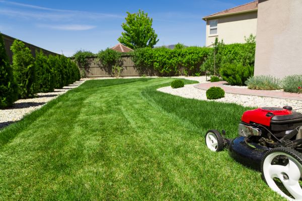 Cost of Residential Lawn Mowing in Roanoke