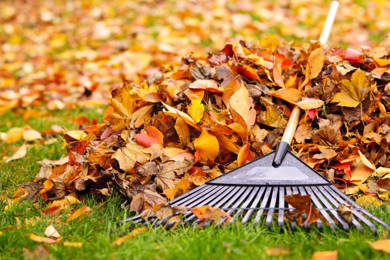 Lawn with Fallen Leaves Before Cleanup