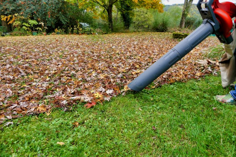 Efficient Leaf Vacuuming