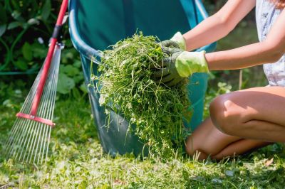 Grass Clippings Being Removed