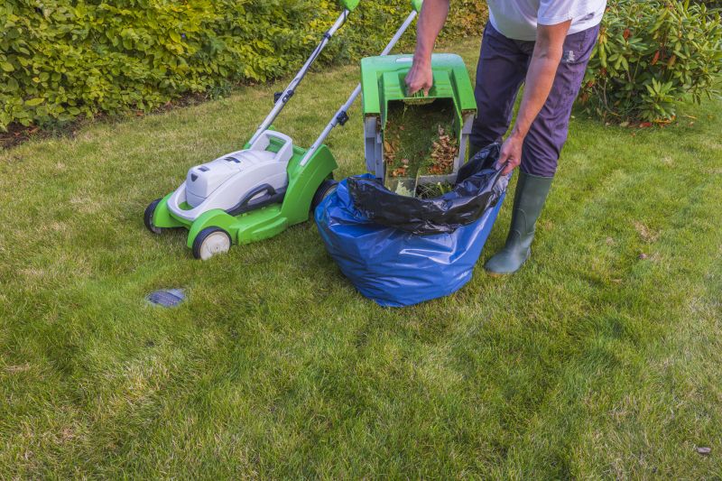 Lawn Care Consultation